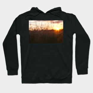 Sunset on the meadow Hoodie